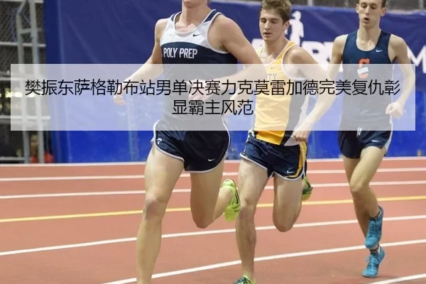 樊振东萨格勒布站男单决赛力克莫雷加德完美复仇彰显霸主风范